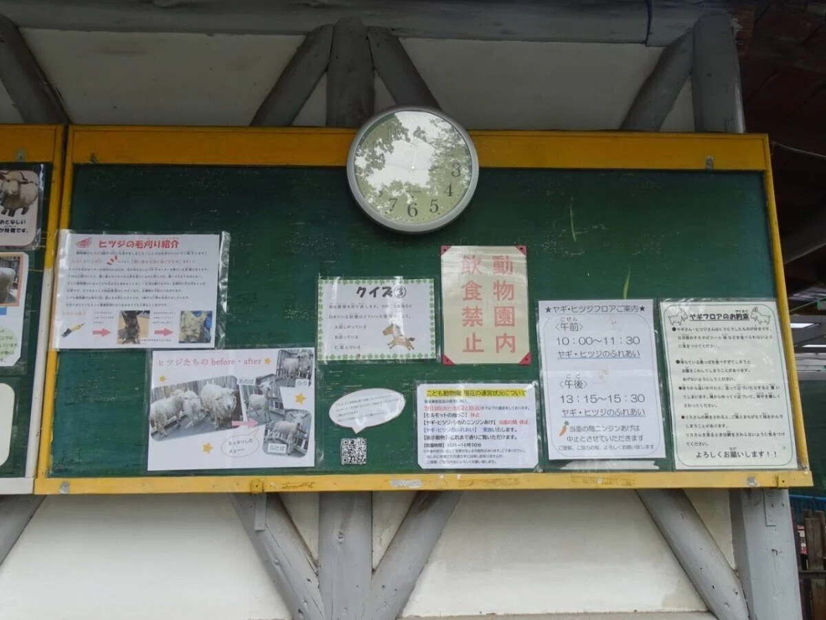 画像41