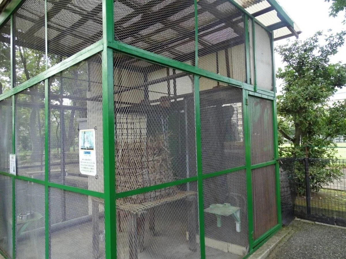 画像53