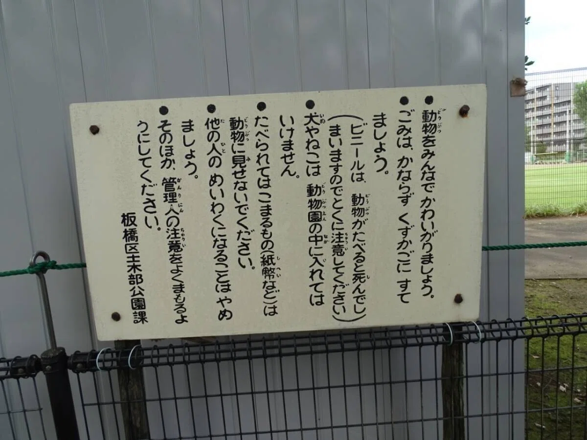 画像52