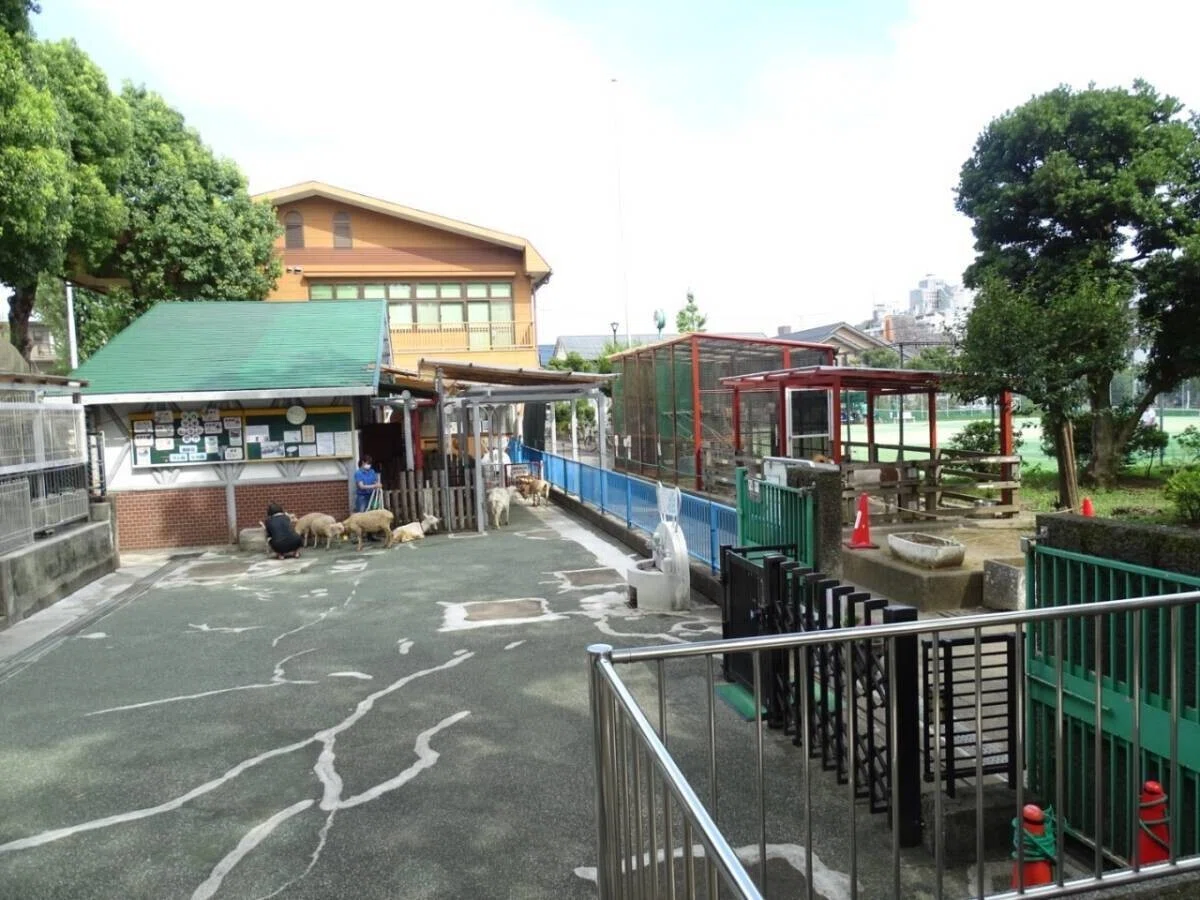 画像54