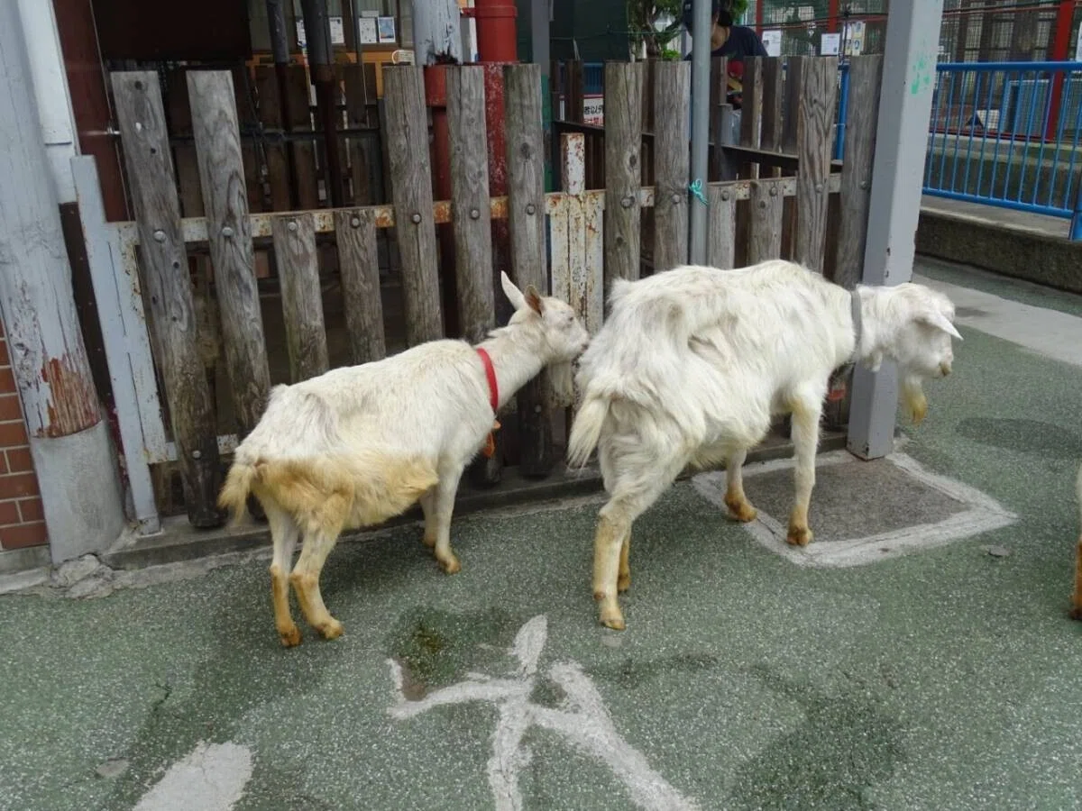 画像49