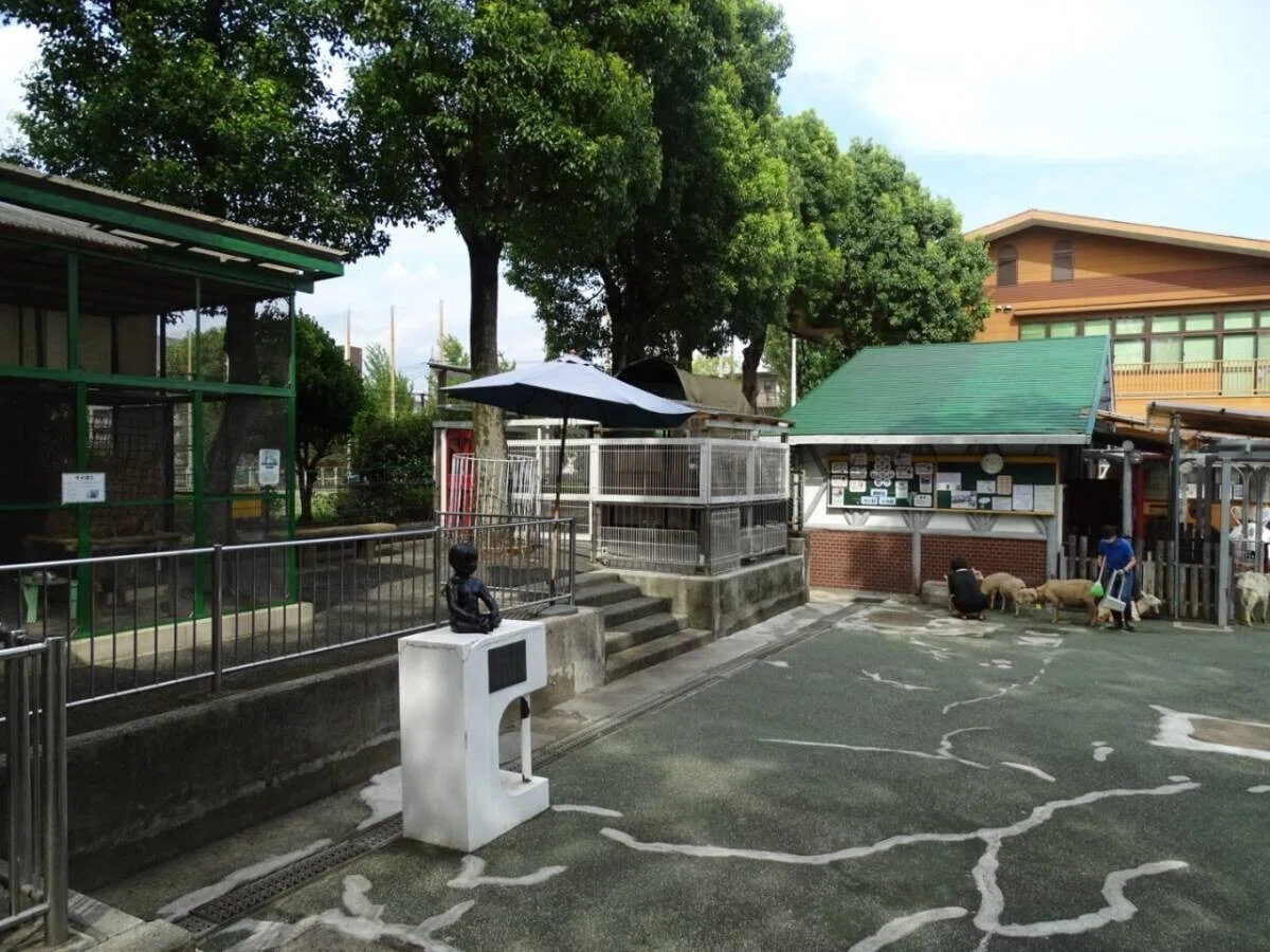 画像55