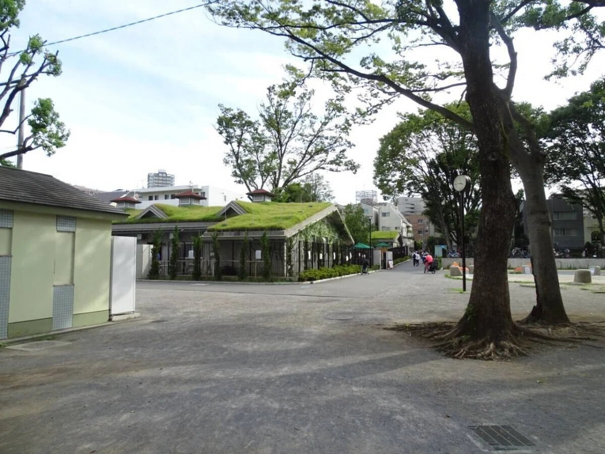 画像33