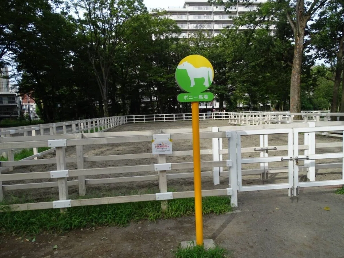 画像32