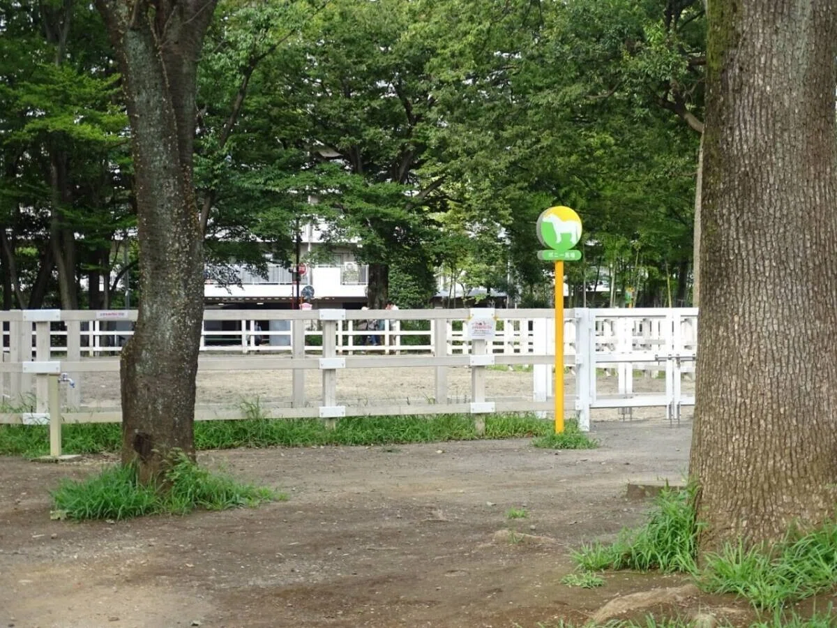 画像31