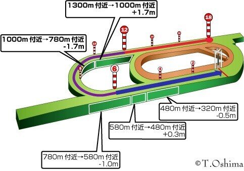 新潟1800芝外