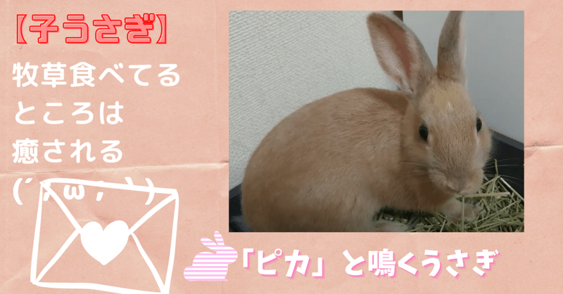 子うさぎ の新着タグ記事一覧 Note つくる つながる とどける 子うさぎ の新着タグ記事一覧 Note つくる つながる とどける