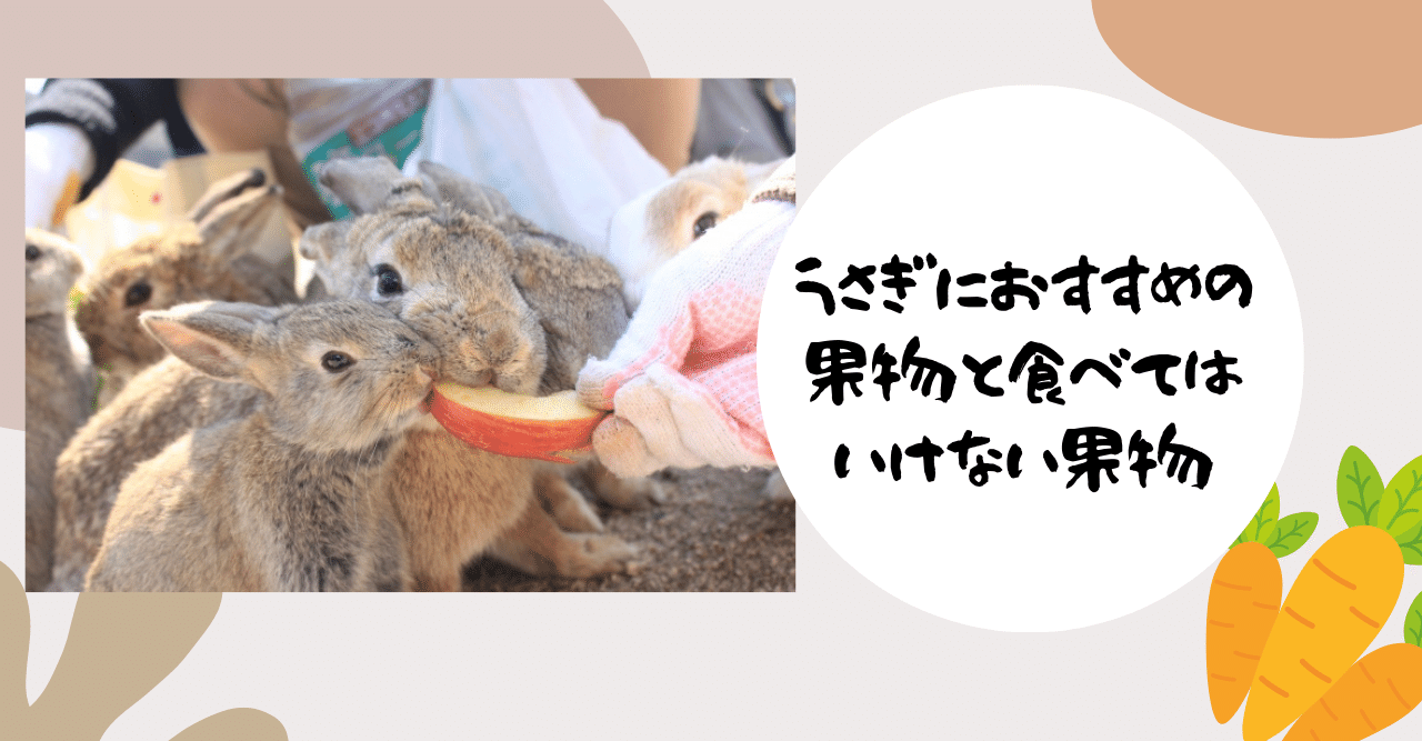 うさぎにおすすめの果物と食べてはいけない果物 うさぎの杜の学校 仮校舎 Note うさぎにおすすめの果物と食べてはいけない果物 うさぎの杜の学校 仮校舎 Note