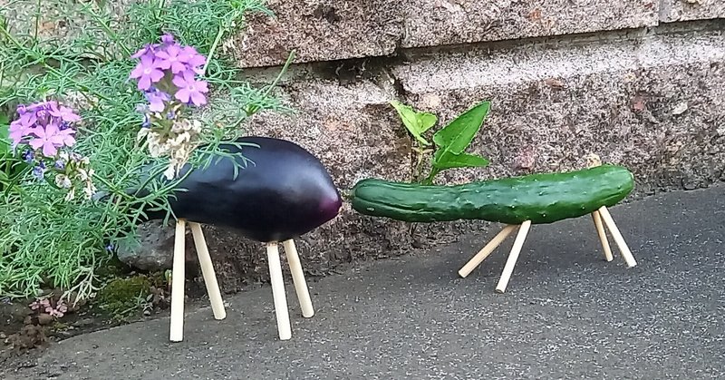 あなたの得意料理は何ですか と聞かれたら何の料理を答えますか 匿田 名 Note