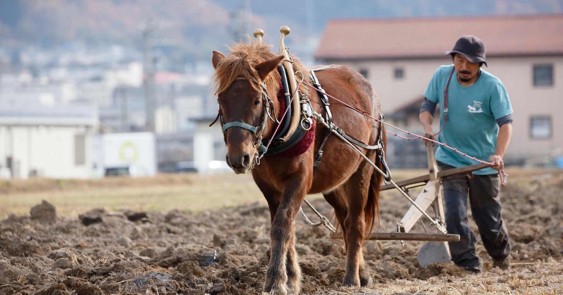 6c13a8a32dcea606b3352f9c5c56e3