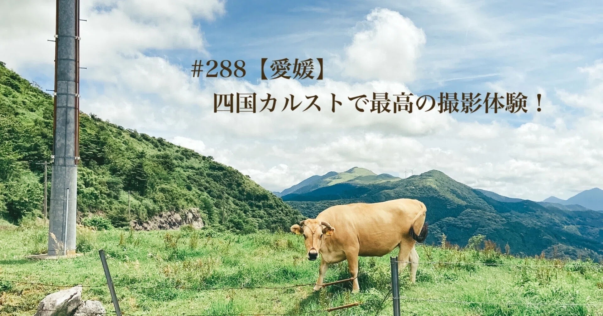 288【愛媛】四国カルストで最高の撮影体験！｜MとW〜旅するフォト 