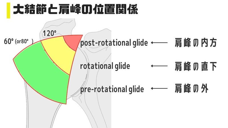 大結節と肩峰の位置関係 (2)