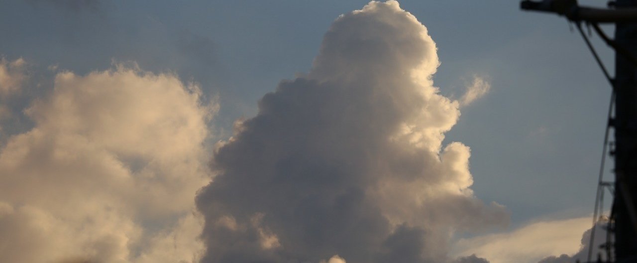 そこに 星野源 さかたぽちこ Note