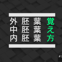 生理学 図解イラストとゴロあわせで覚える 消化酵素 のまとめ 森元塾 国家試験対策 Note 生理学 図解イラストとゴロあわせで覚える 消化酵素 のまとめ 森元塾 国家試験対策 Note