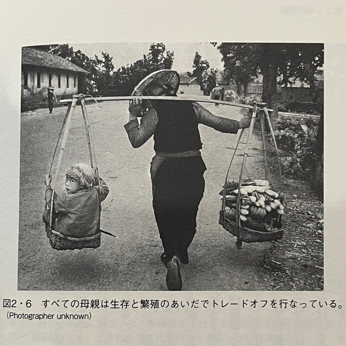 読書記録 マザー・ネイチャー (上)｜R.K., image size:1200x1200