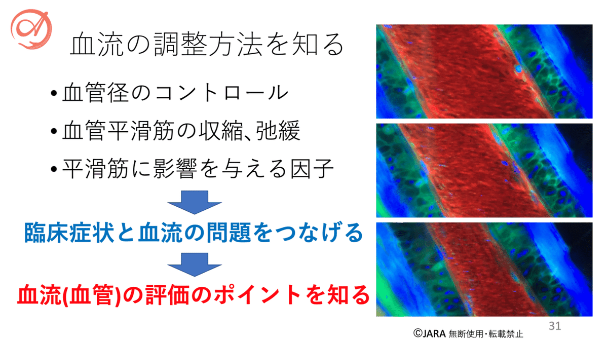 スクリーンショット 2021-08-14 午後0.07.06