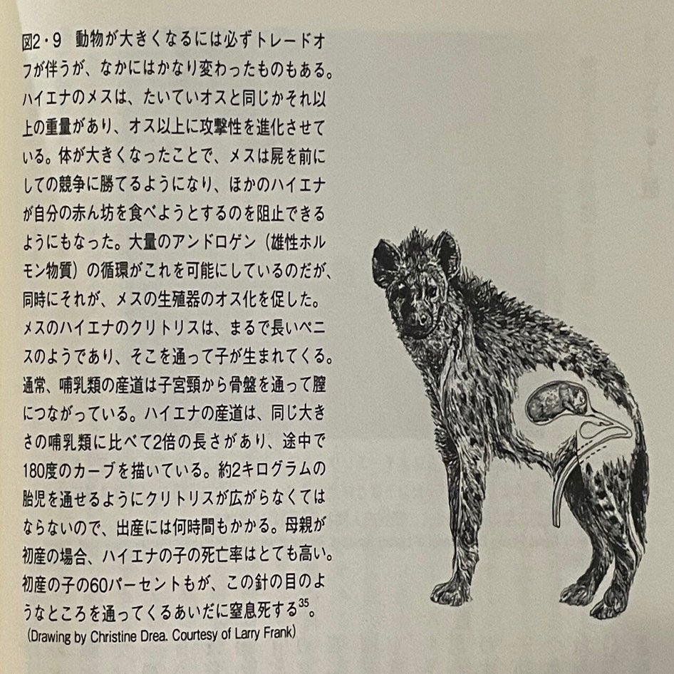 リプレイ・マグナ/02 ほんの先触れの物語, image size:1280x946