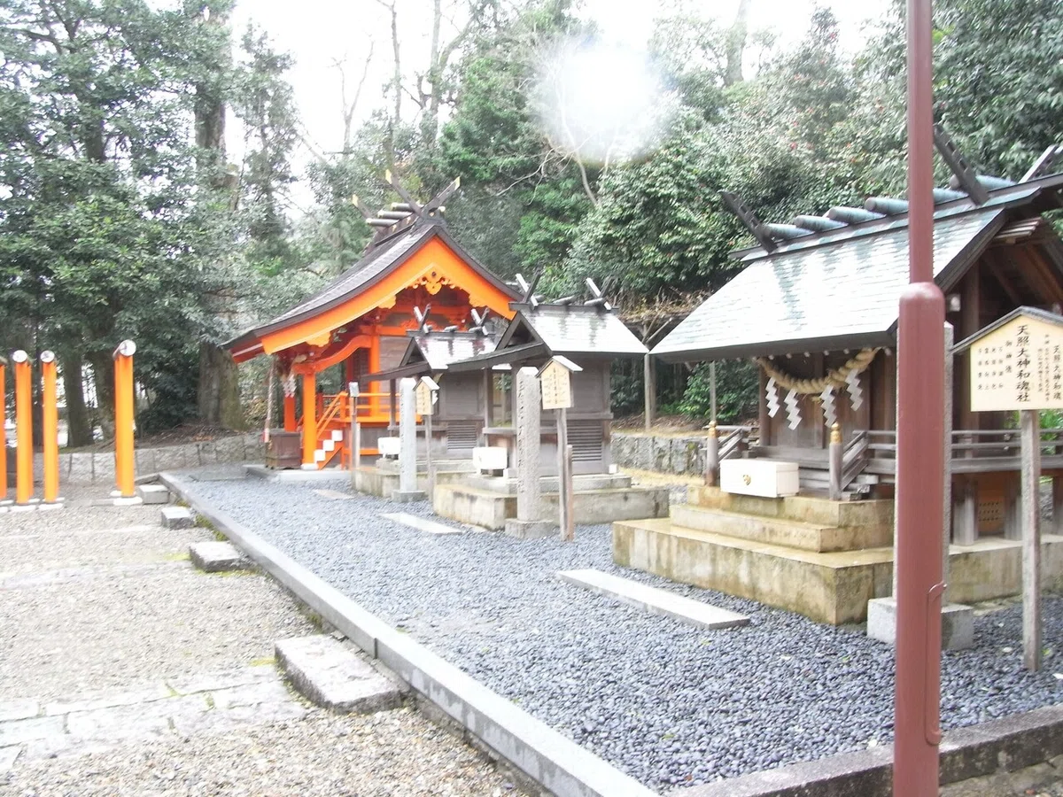 画像9