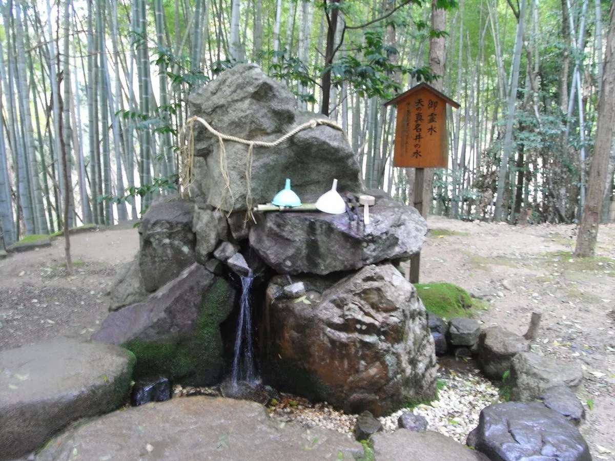 画像11