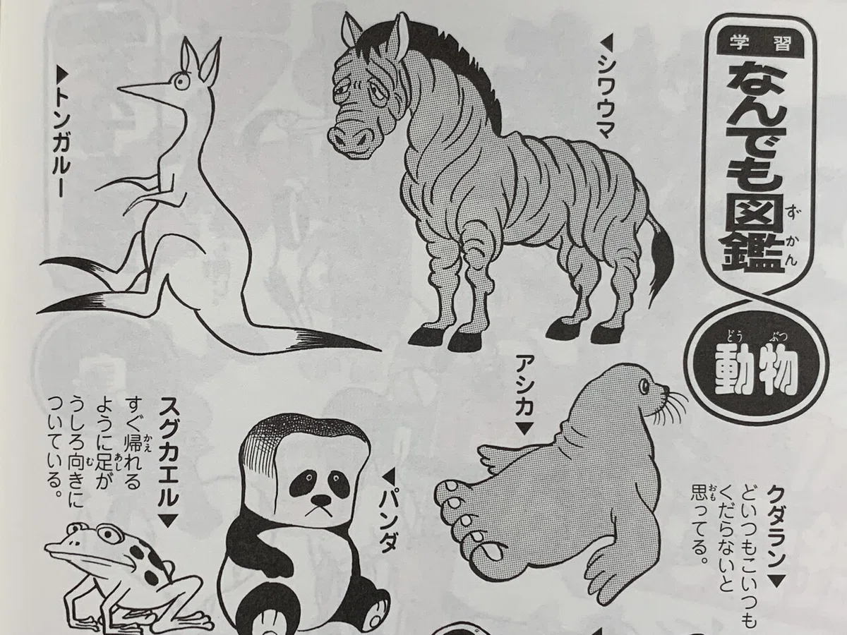 画像6