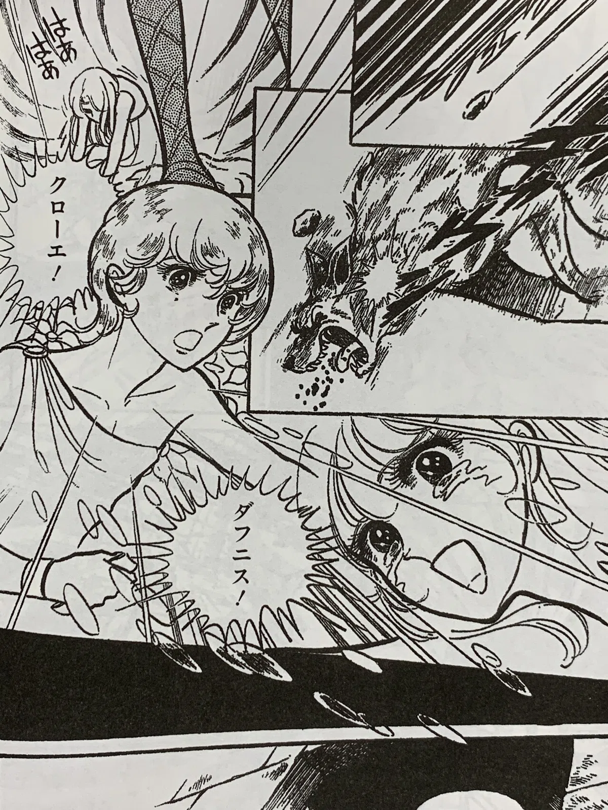 画像8