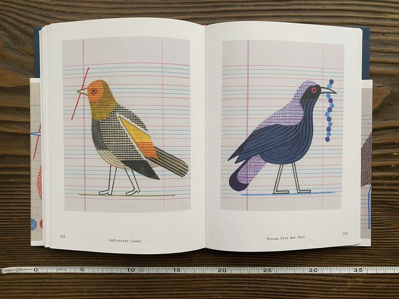 Jochen Gerner Oiseaux - Real And Imaginary Chromatic Inventory