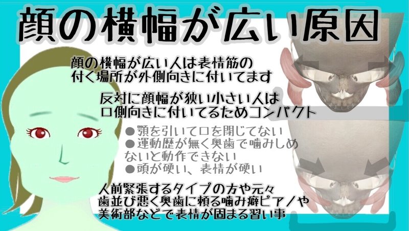 顔の横幅が広い 狭くする 表情筋マッサージとトレーニング方法 お顔の整体師 戸塚哲春 Note