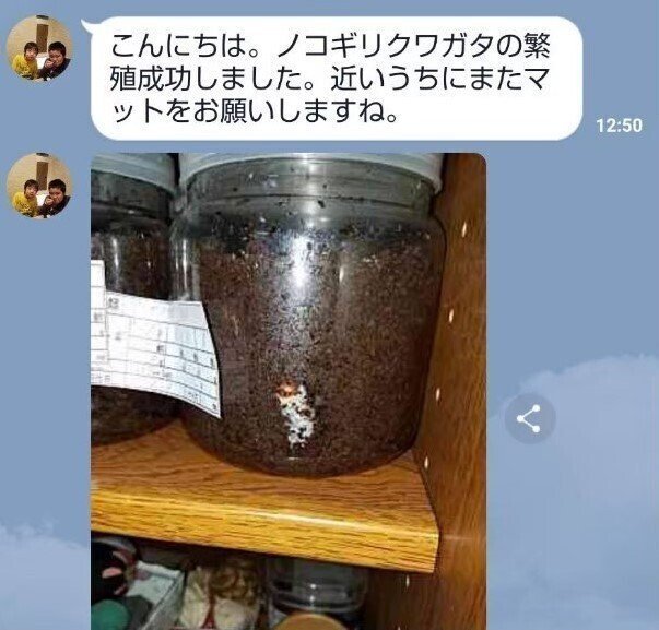 ヒマラヤひらたけ発酵マット|iketeru_1130 ヒマラヤひらたけ発酵マット|iketeru_1130