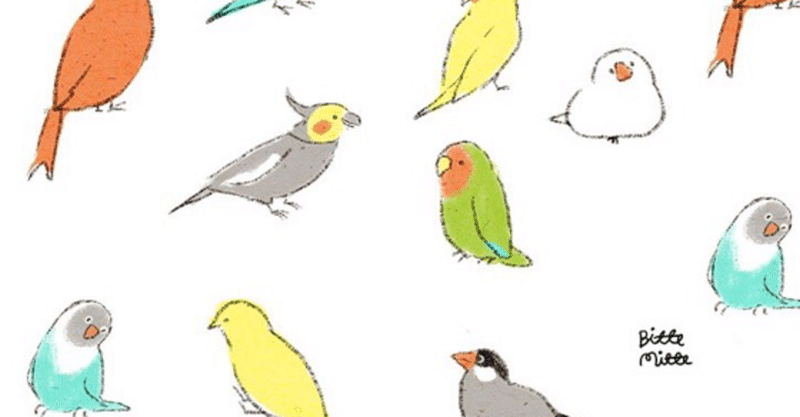 童話「少年と小鳥」