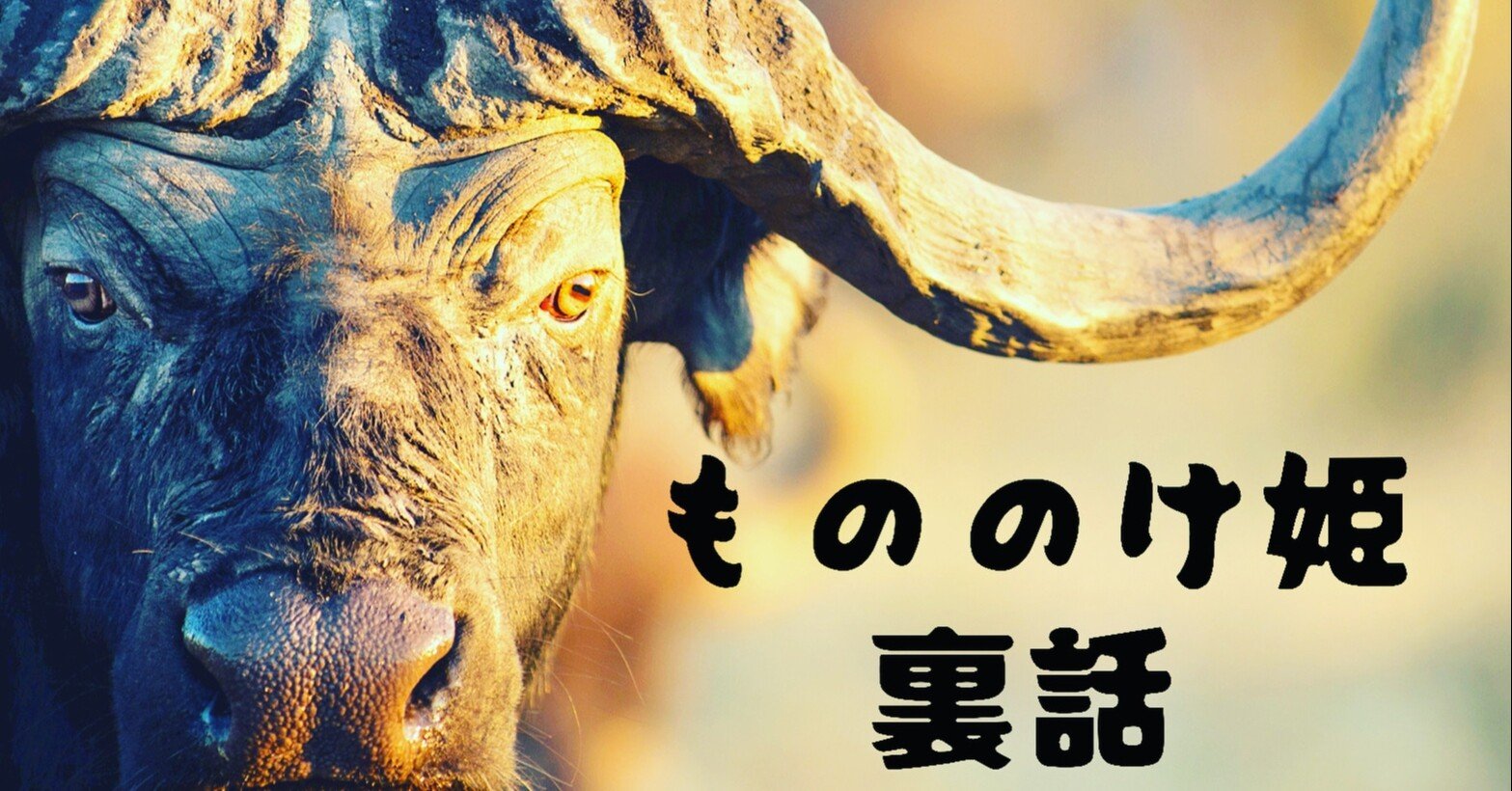 もののけ姫裏話 すがっち 菅澤 幸弘 Note