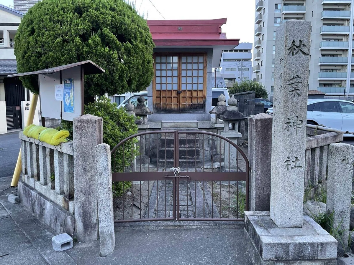 画像7