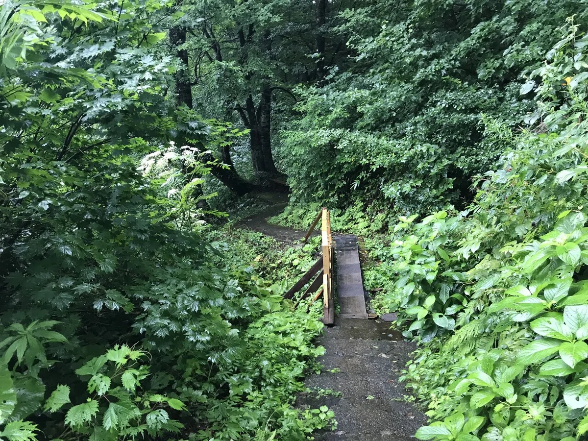 画像8