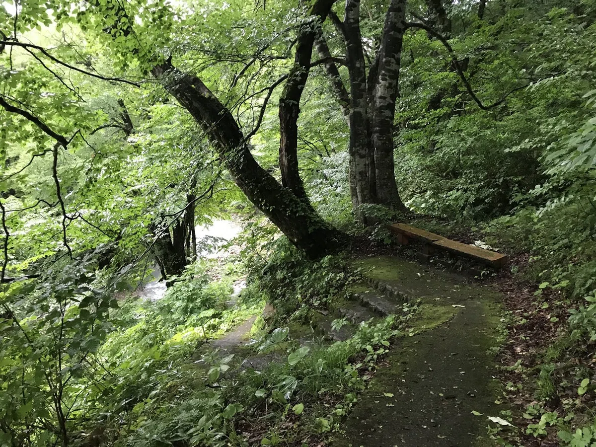 画像9