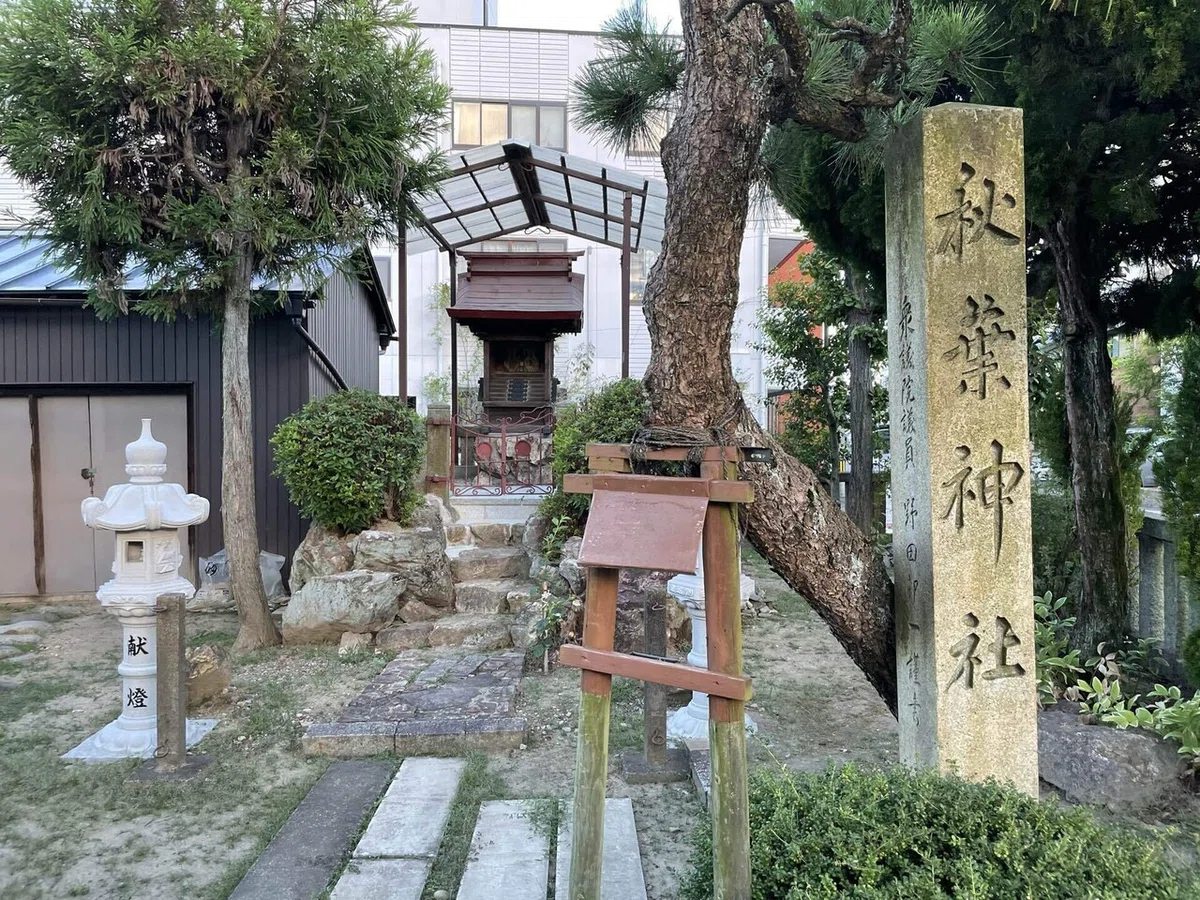 画像14