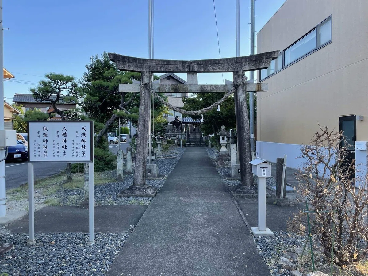 画像9