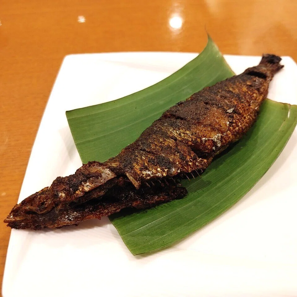 画像16