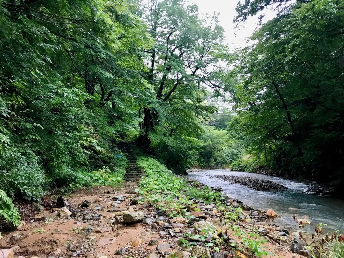 画像15