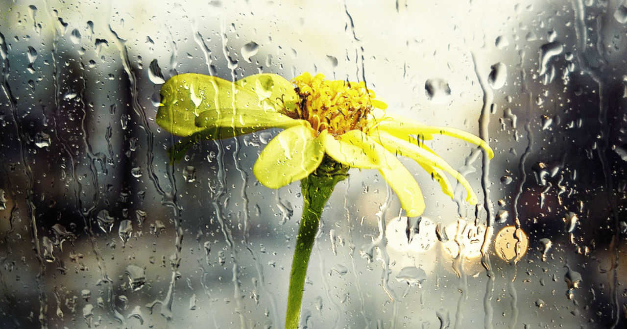 大雨の被害が拡大しないことを祈るばかりです 英語ニュース 避難 って何するの Sayaka Kanai 金井さやか 元祖 Toeic満点英語 コーチ イングリッシュキャンプの校長せんせい 英語の先生の先生 Note 大雨の被害が拡大しないことを祈るばかりです 英語ニュース 避難 って何するの Sayaka Kanai 金井さやか 元祖 Toeic満点英語 コーチ イングリッシュキャンプの校長せんせい 英語の先生の先生 Note