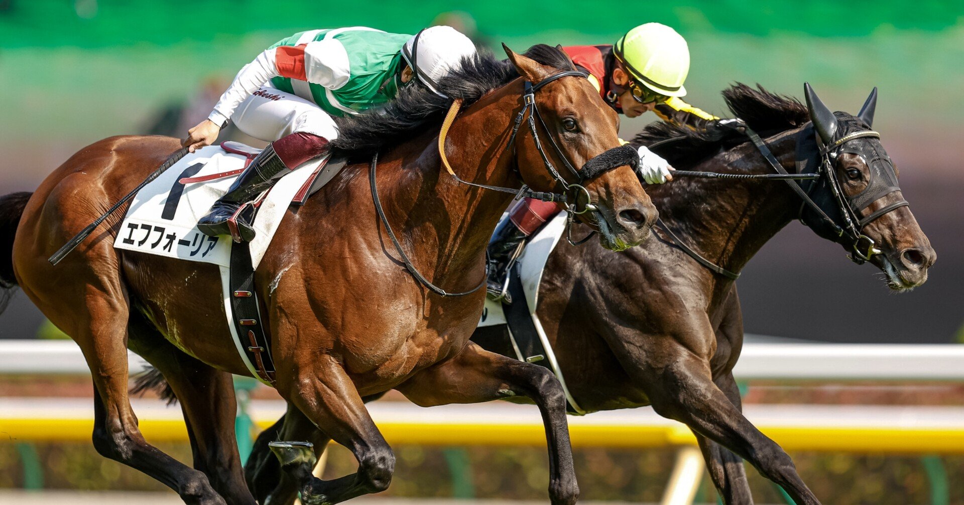 競馬】初心者のための2021年上半期の競馬まとめ 後編｜マツウラ