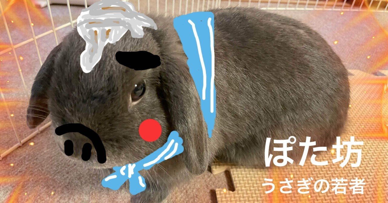 ヴァ ルーダニア の新着タグ記事一覧 Note つくる つながる とどける