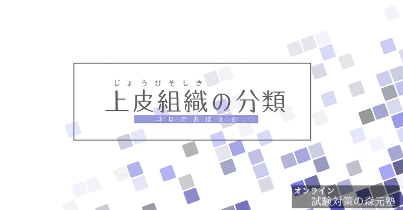 解剖学 図解イラストとゴロあわせで簡単 上皮組織の分類 の覚え方 森元塾 国家試験対策 Note 解剖学 図解イラストとゴロあわせで簡単 上皮組織の分類 の覚え方 森元塾 国家試験対策 Note