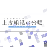解剖学 図解イラストとゴロで簡単 胎児循環 の覚え方 森元塾 国家試験対策 Note