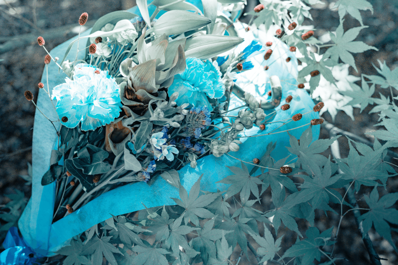 青い花 花言葉 特徴 まとめ Rocky Note 青い花 花言葉 特徴 まとめ Rocky Note