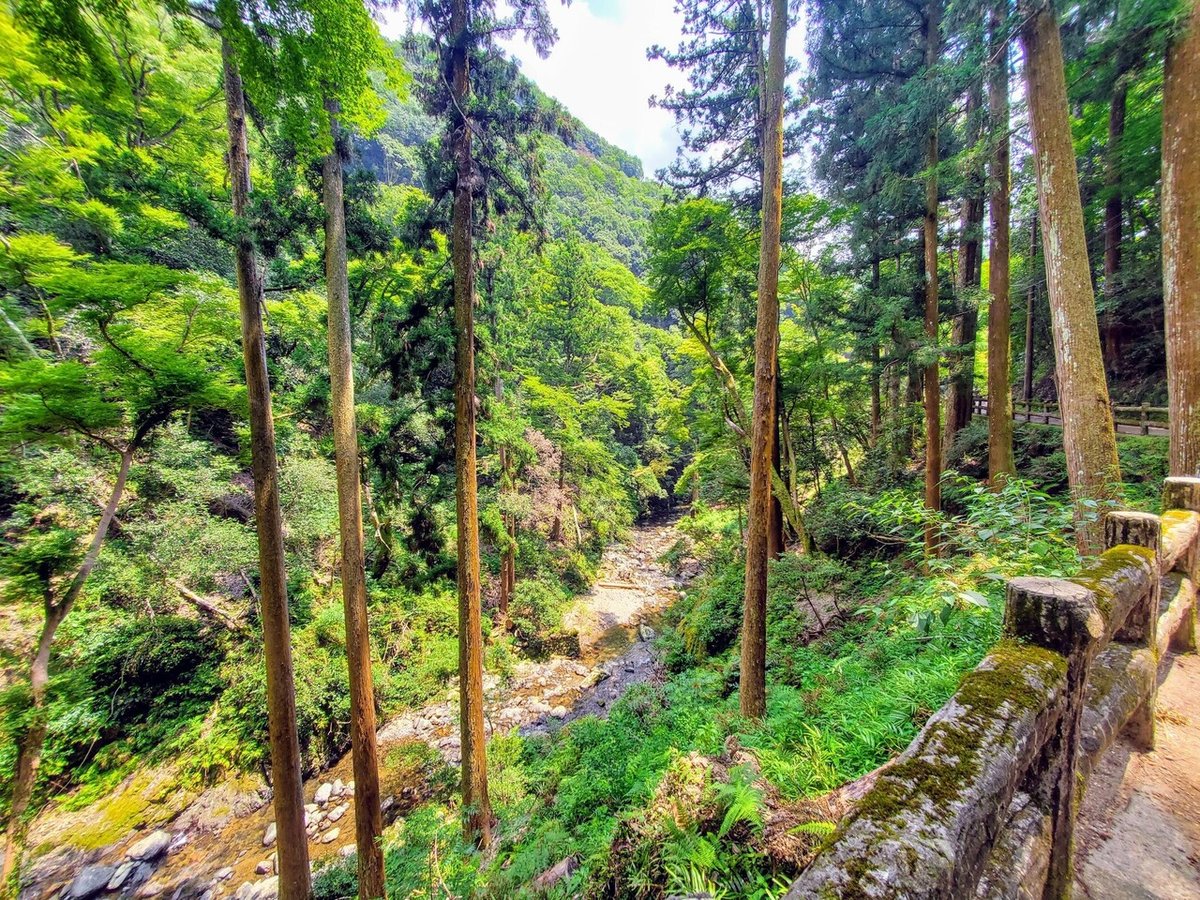 箕面　道　川