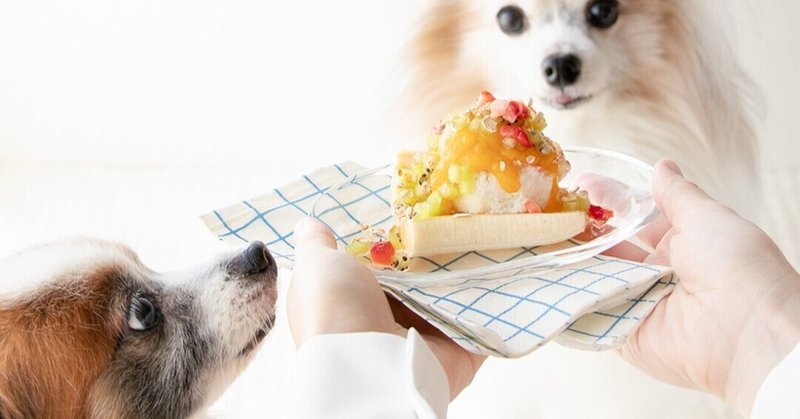 お皿に盛り付けるカラフルパフェ 犬のバナナスプリット 手作り犬おやつレシピ 単品購入 いちかわあやこ 犬ごはん先生 Note お皿に盛り付けるカラフルパフェ 犬のバナナスプリット 手作り犬おやつレシピ 単品購入 いちかわあやこ 犬ごはん先生 Note