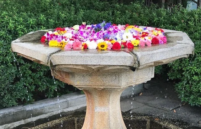 花手水3