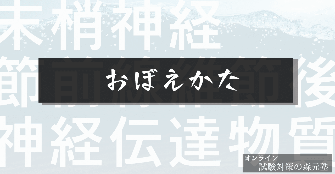 生理学 図解イラストとゴロで簡単 末梢神経の節前線維 節後線維の神経伝達物質 の覚え方 森元塾 国家試験対策 Note