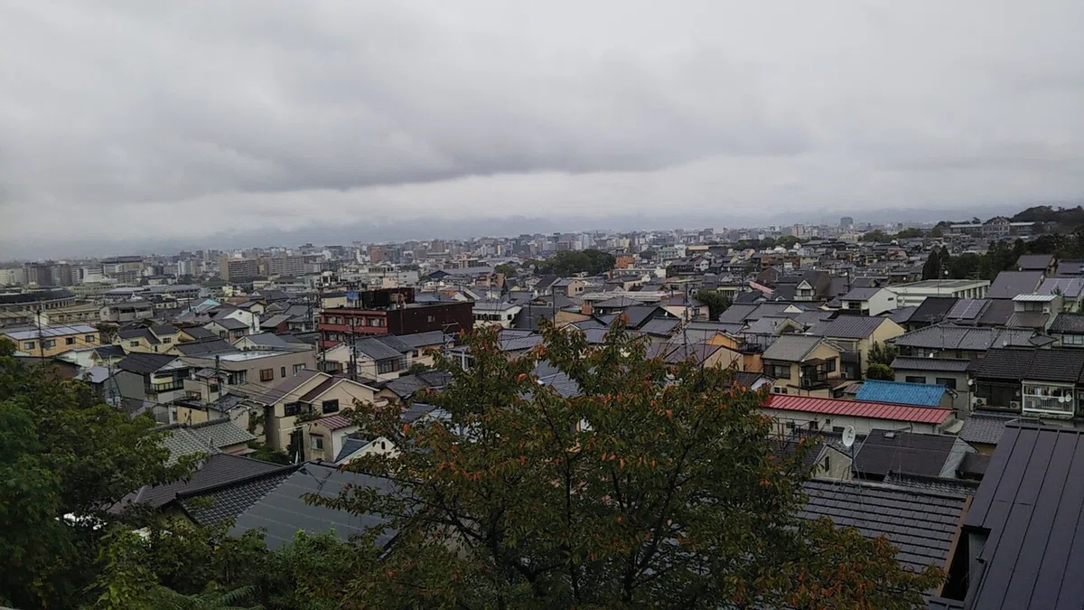 画像8