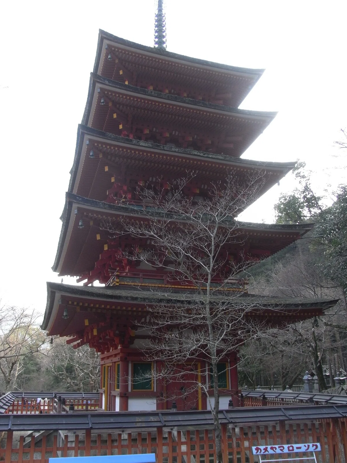 画像5