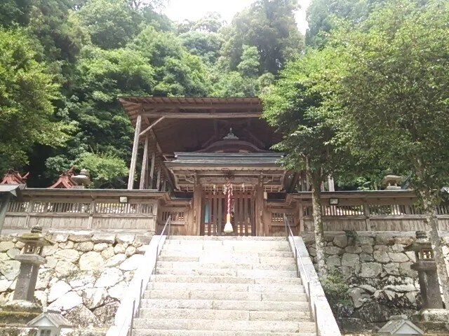 画像9